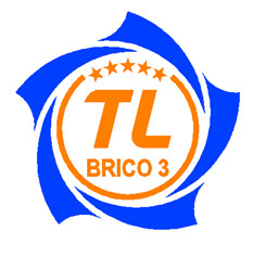 Công ty Cổ phần Cầu 3 Thăng Long – Brico3